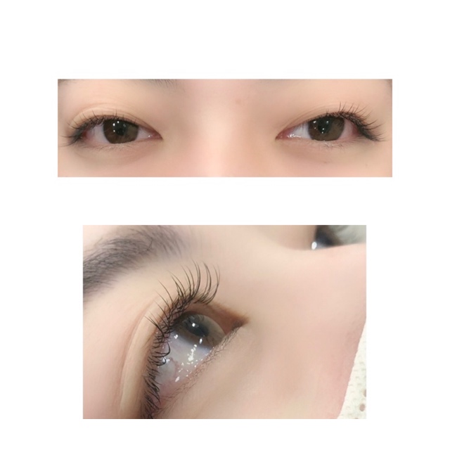 フラットラッシュ　予約ページ 🚩お客様デザイン フラットラッシュ(0.15mm) 220本 CCカール 10-11-12